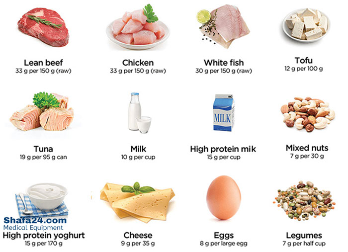 رژیم پر پروتئین - شفا24