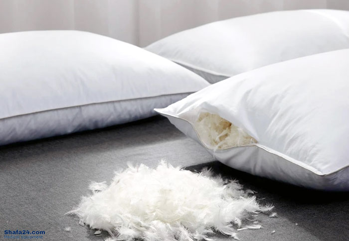 انواع بالش - شفا24