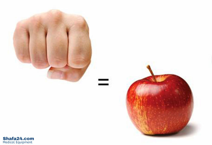 رژیمهای مد روز - شفا24