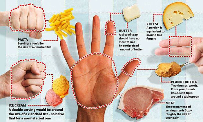 رژیمهای مد روز - شفا24