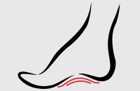 کفی طبی داینامیک طب و صنعت مدل 20400 - نرم و انعطافپذیر - شفا24