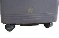 اکسیژن ساز احیا گستر مدل EGT - شفا24