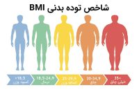 ترازو دیجیتال بادی آنالیز زنیتمد مدل ZTH-B8 شفا24